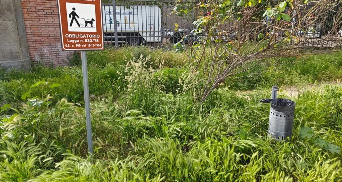 «Prato giardino in un degrado mai visto»